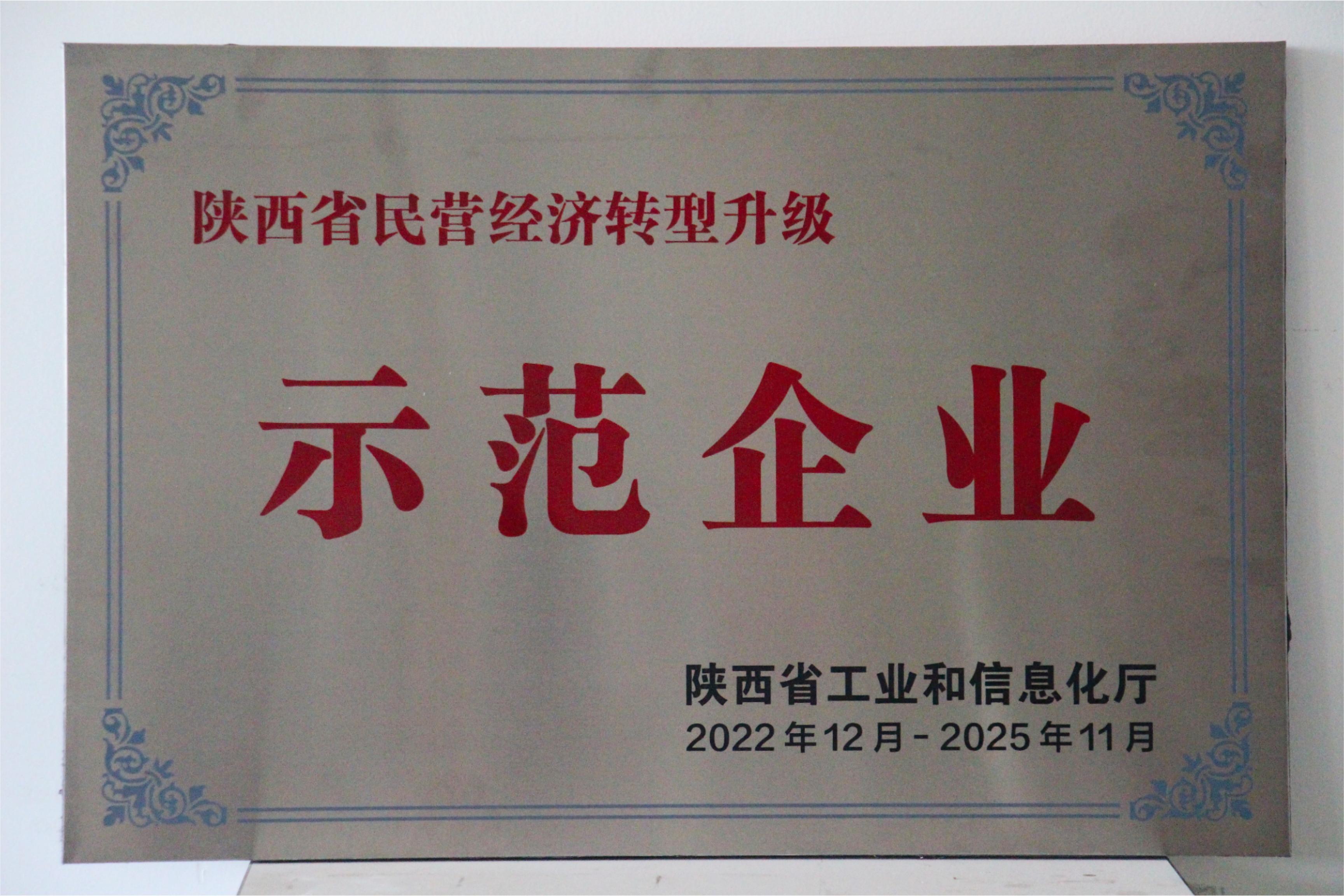 示范企業(yè)
